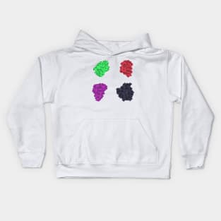 Colorful Grapes (White) Kids Hoodie